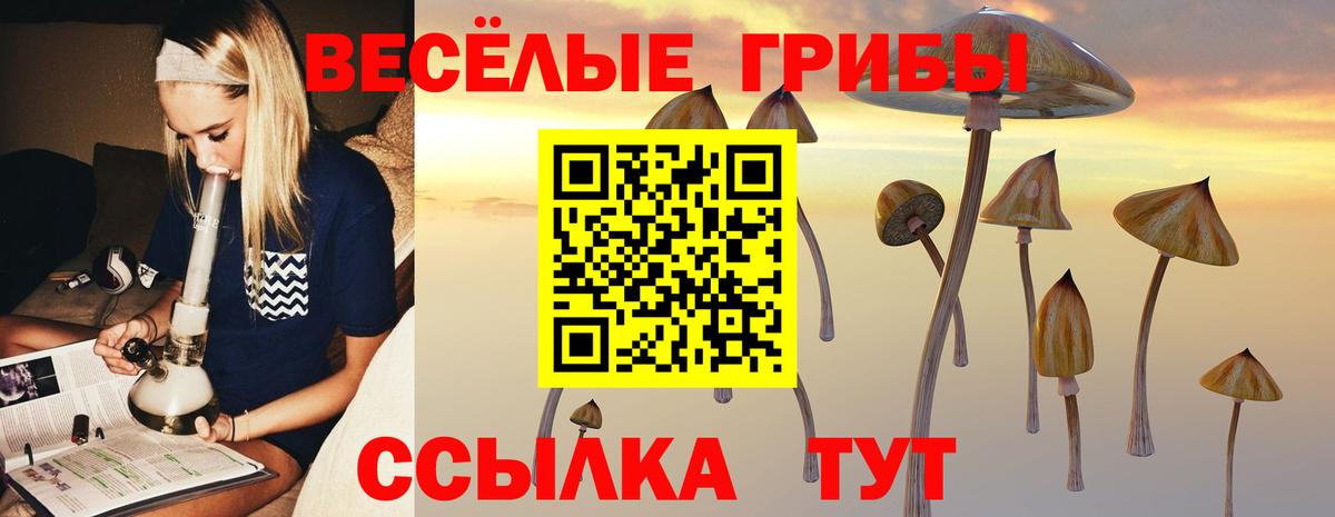 Галлюциногенные грибы ЛСД Карачаевск