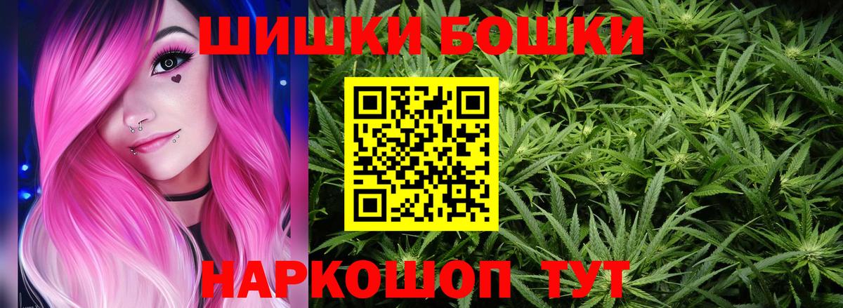 Канабис сатива Карачаевск